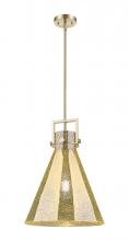 Innovations Lighting 411-1SL-CB-G411-14ME - Newton Cone - 1 Light - 14 inch - Champagne Bronze - Cord hung - Pendant